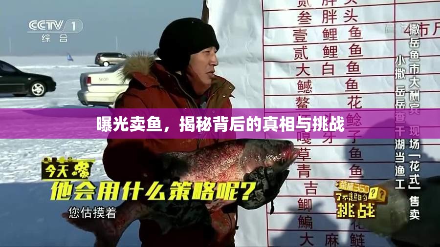 曝光賣魚，揭秘背后的真相與挑戰(zhàn)