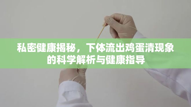 私密健康揭秘，下體流出雞蛋清現(xiàn)象的科學解析與健康指導