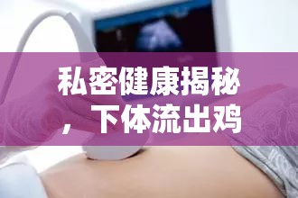 私密健康揭秘，下體流出雞蛋清現(xiàn)象的科學解析與健康指導