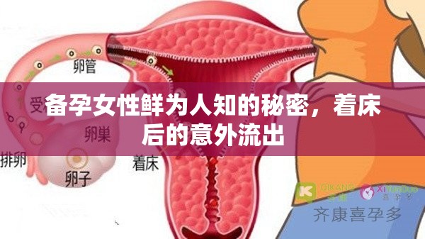 備孕女性鮮為人知的秘密，著床后的意外流出