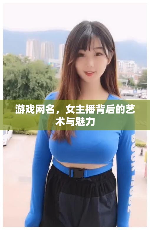 游戲網(wǎng)名，女主播背后的藝術(shù)與魅力
