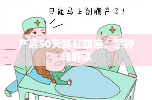 產(chǎn)后50天鮮紅血液，警鐘與解讀