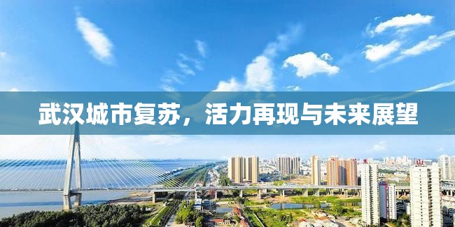 武漢城市復(fù)蘇，活力再現(xiàn)與未來(lái)展望