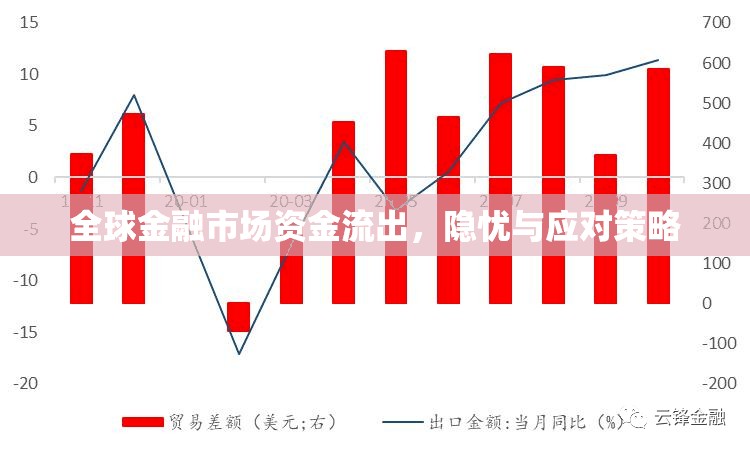 全球金融市場資金流出，隱憂與應(yīng)對(duì)策略