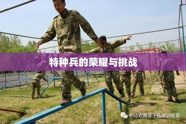 特種兵的榮耀與挑戰(zhàn)