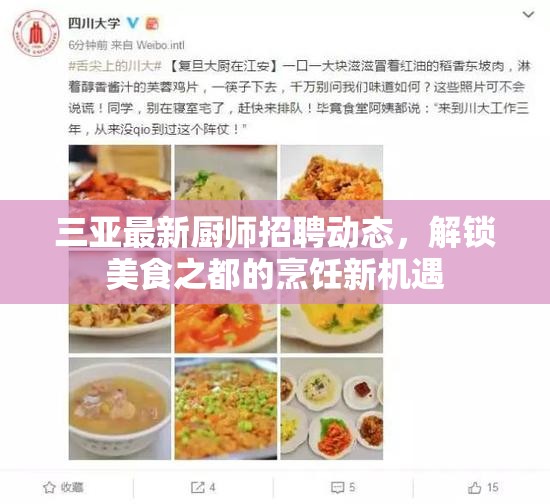 三亞最新廚師招聘動態(tài)，解鎖美食之都的烹飪新機遇