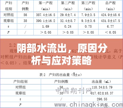 陰部水流出，原因分析與應(yīng)對策略