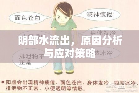 陰部水流出，原因分析與應(yīng)對策略