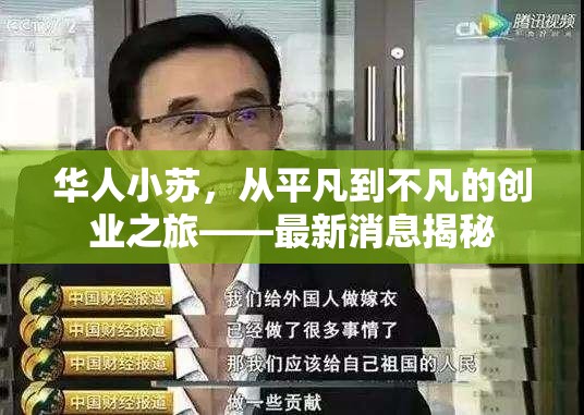 華人小蘇，從平凡到不凡的創(chuàng)業(yè)之旅——最新消息揭秘