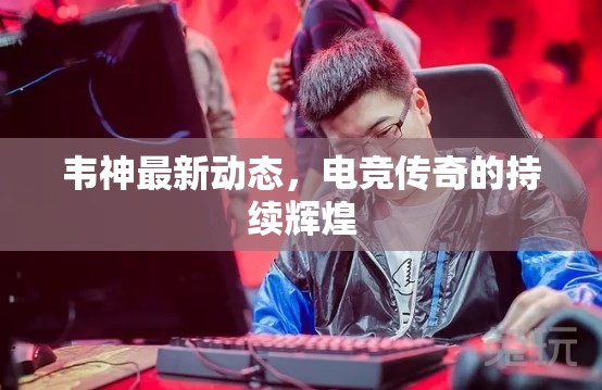 韋神最新動(dòng)態(tài)，電競(jìng)傳奇的持續(xù)輝煌