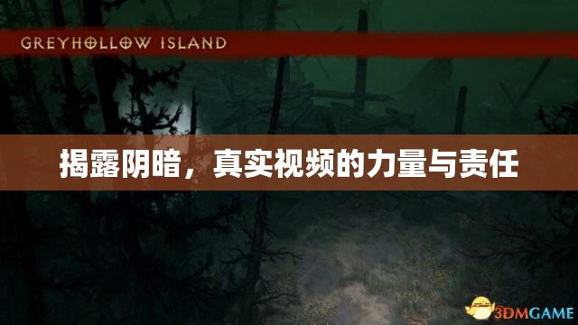 揭露陰暗，真實(shí)視頻的力量與責(zé)任