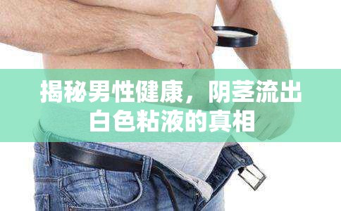 揭秘男性健康，陰莖流出白色粘液的真相