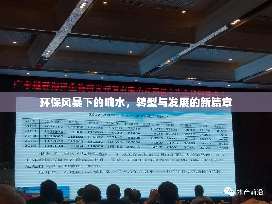 環(huán)保風(fēng)暴下的響水，轉(zhuǎn)型與發(fā)展的新篇章