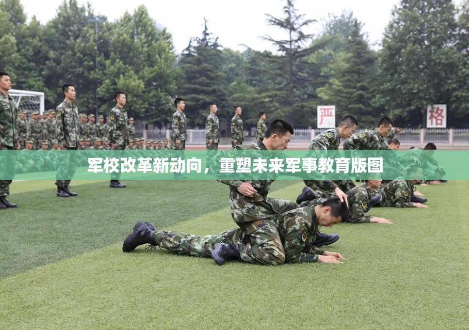 軍校改革新動(dòng)向，重塑未來(lái)軍事教育版圖