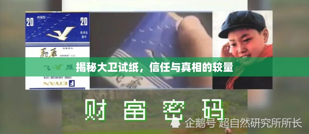 揭秘大衛(wèi)試紙，信任與真相的較量