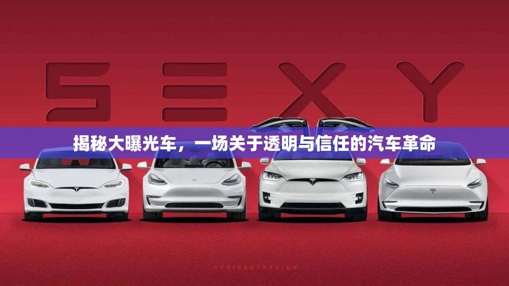 揭秘大曝光車，一場關(guān)于透明與信任的汽車革命
