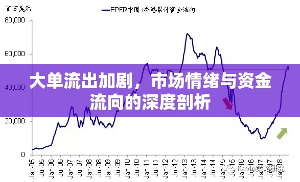 大單流出加劇，市場(chǎng)情緒與資金流向的深度剖析