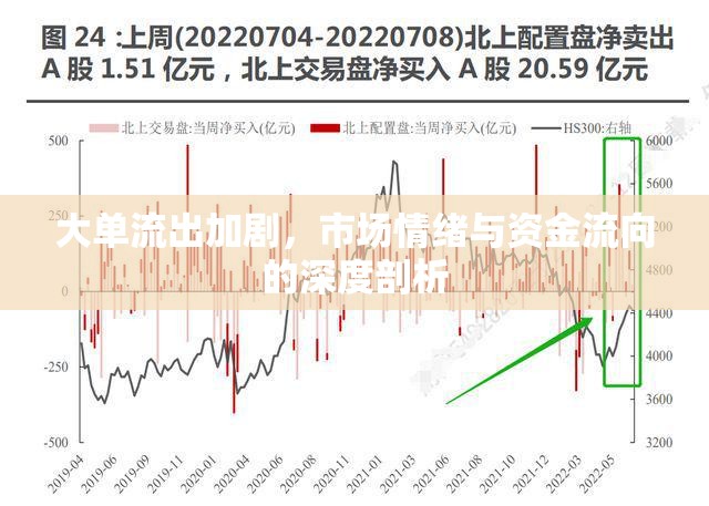 大單流出加劇，市場(chǎng)情緒與資金流向的深度剖析