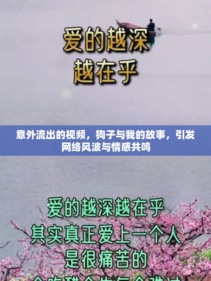 意外流出的視頻，狗子與我的故事，引發(fā)網(wǎng)絡(luò)風(fēng)波與情感共鳴