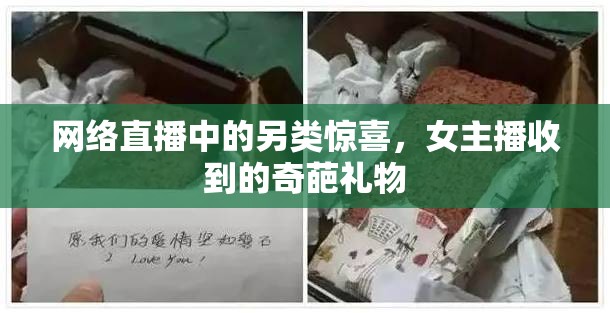 網(wǎng)絡(luò)直播中的另類驚喜，女主播收到的奇葩禮物