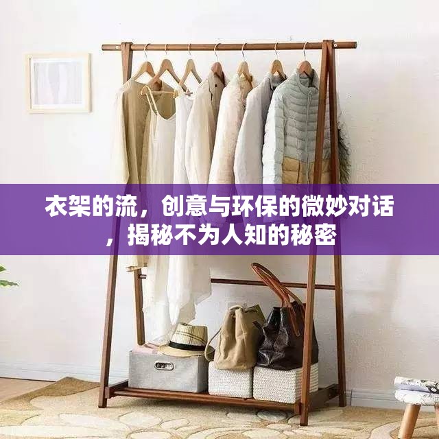 衣架的流，創(chuàng)意與環(huán)保的微妙對話，揭秘不為人知的秘密