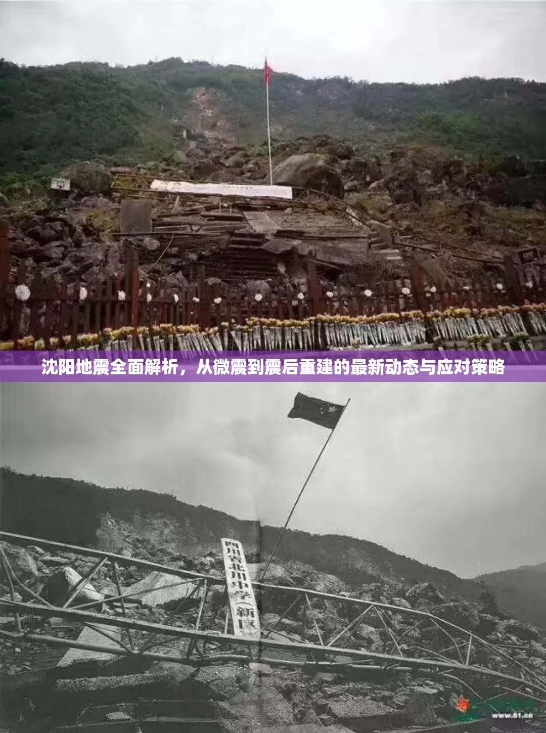 沈陽地震全面解析，從微震到震后重建的最新動態(tài)與應(yīng)對策略