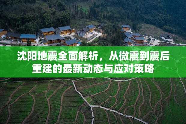 沈陽地震全面解析，從微震到震后重建的最新動態(tài)與應(yīng)對策略