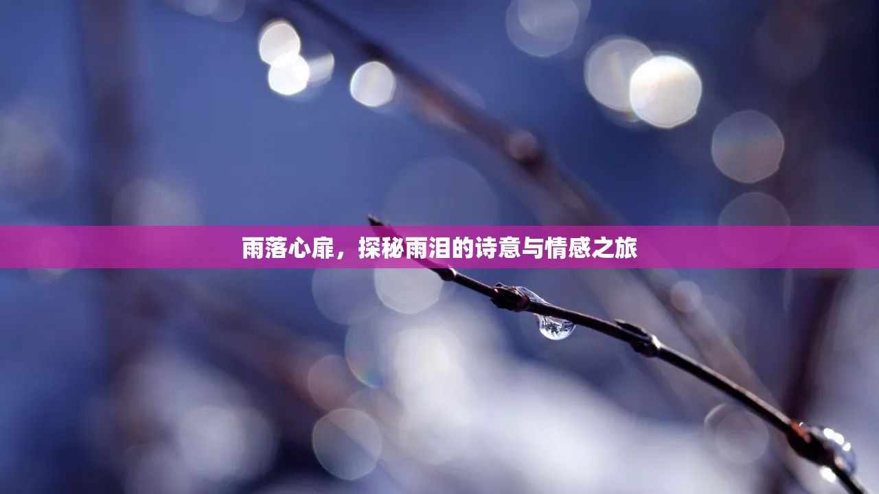 雨落心扉，探秘雨淚的詩意與情感之旅