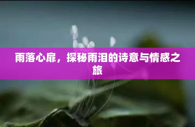 雨落心扉，探秘雨淚的詩意與情感之旅