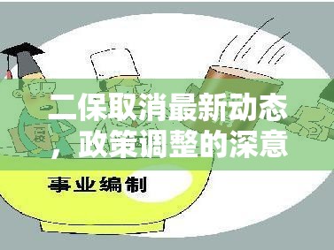 二保取消最新動(dòng)態(tài)，政策調(diào)整的深意與廣泛影響