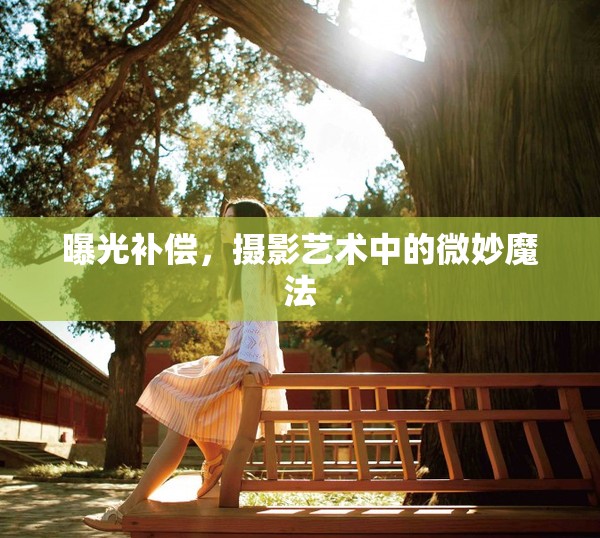 曝光補償，攝影藝術(shù)中的微妙魔法
