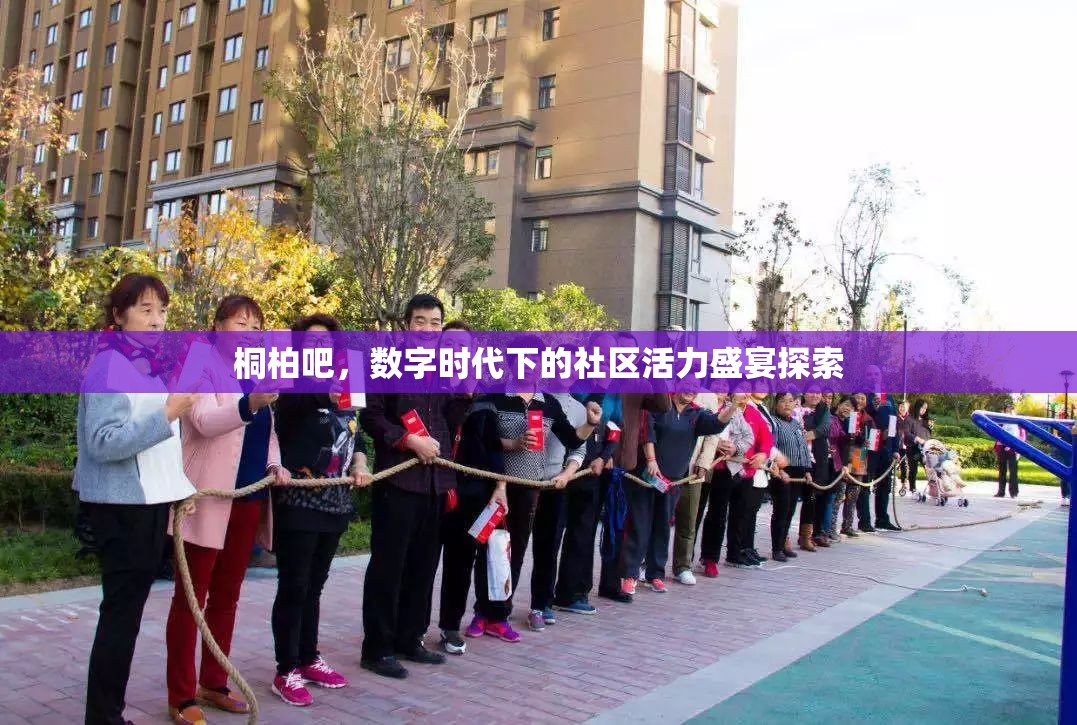 桐柏吧，數(shù)字時代下的社區(qū)活力盛宴探索