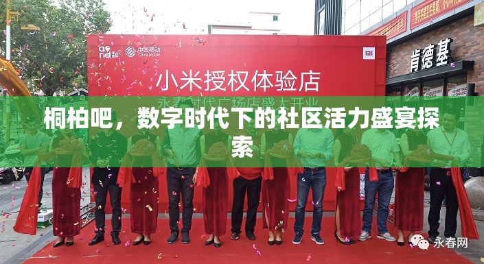 桐柏吧，數(shù)字時代下的社區(qū)活力盛宴探索