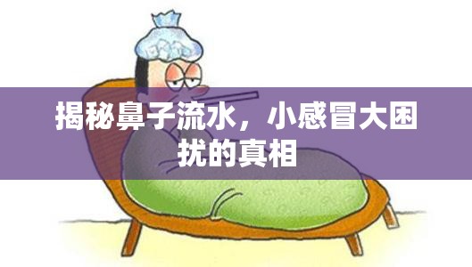 揭秘鼻子流水，小感冒大困擾的真相