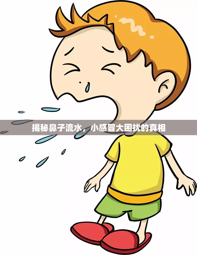 揭秘鼻子流水，小感冒大困擾的真相