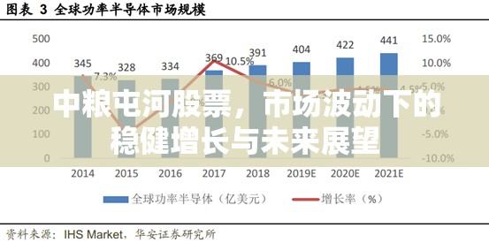 中糧屯河股票，市場波動下的穩(wěn)健增長與未來展望