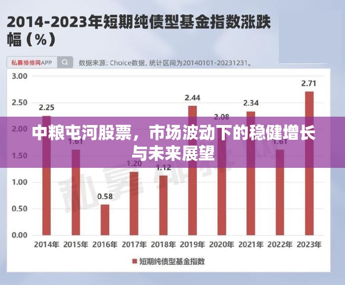 中糧屯河股票，市場波動下的穩(wěn)健增長與未來展望
