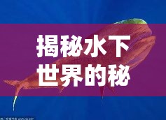 揭秘水下世界的秘密武器，魚餌料曝光