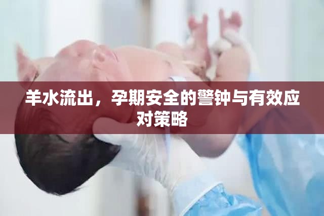 羊水流出，孕期安全的警鐘與有效應(yīng)對策略