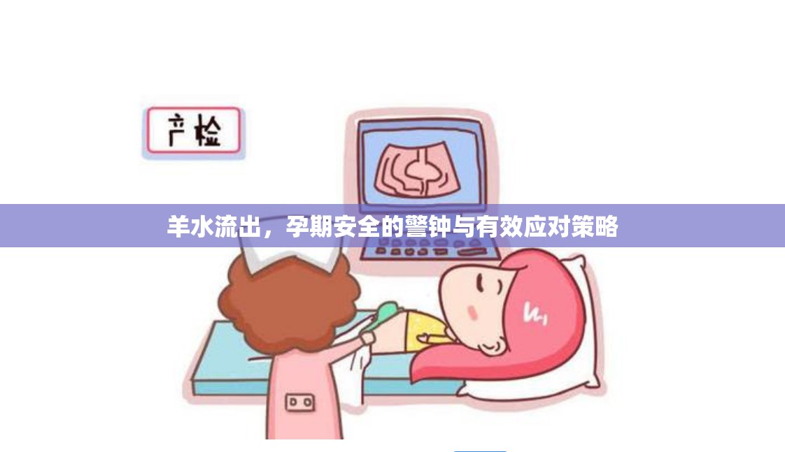 羊水流出，孕期安全的警鐘與有效應(yīng)對策略