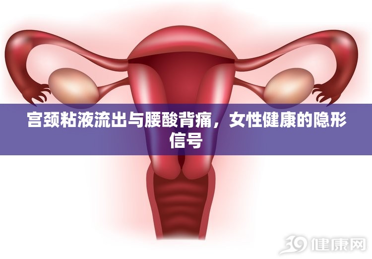 宮頸粘液流出與腰酸背痛，女性健康的隱形信號