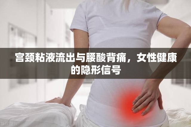 宮頸粘液流出與腰酸背痛，女性健康的隱形信號