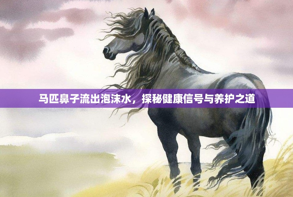 馬匹鼻子流出泡沫水，探秘健康信號(hào)與養(yǎng)護(hù)之道