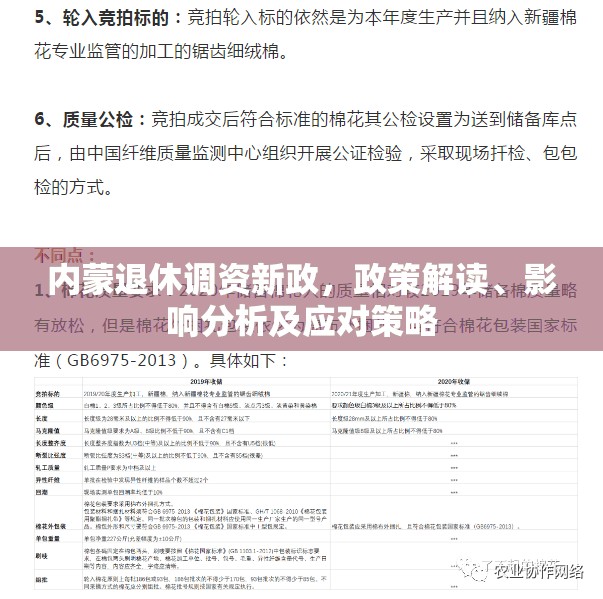 內(nèi)蒙退休調(diào)資新政，政策解讀、影響分析及應對策略