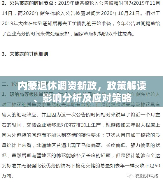 內(nèi)蒙退休調(diào)資新政，政策解讀、影響分析及應對策略