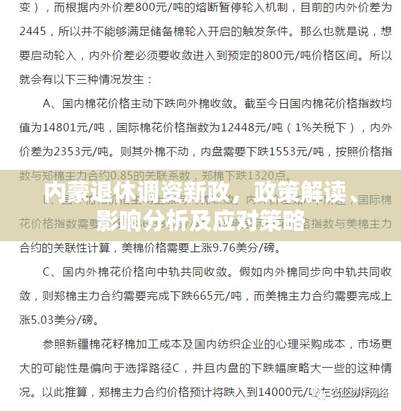 內(nèi)蒙退休調(diào)資新政，政策解讀、影響分析及應對策略