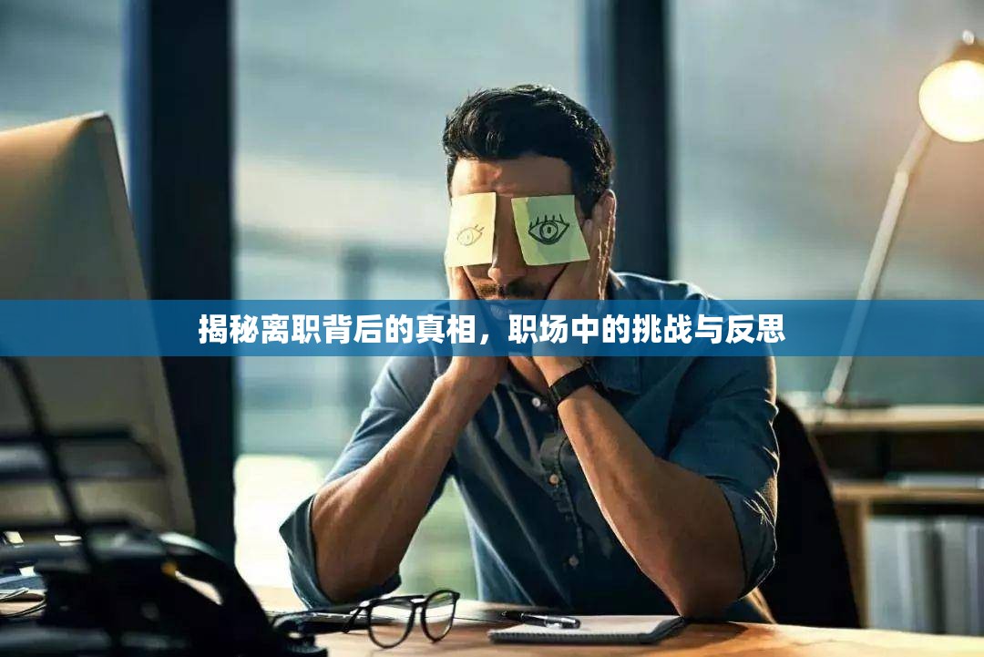 揭秘離職背后的真相，職場中的挑戰(zhàn)與反思