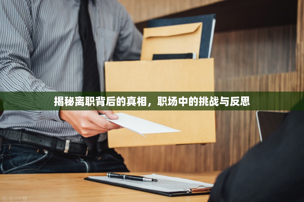 揭秘離職背后的真相，職場中的挑戰(zhàn)與反思