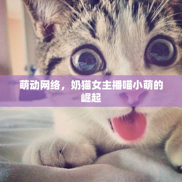 萌動網(wǎng)絡，奶貓女主播喵小萌的崛起