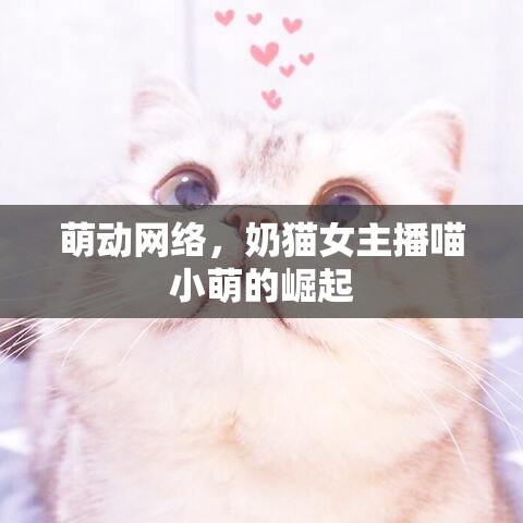 萌動網(wǎng)絡，奶貓女主播喵小萌的崛起